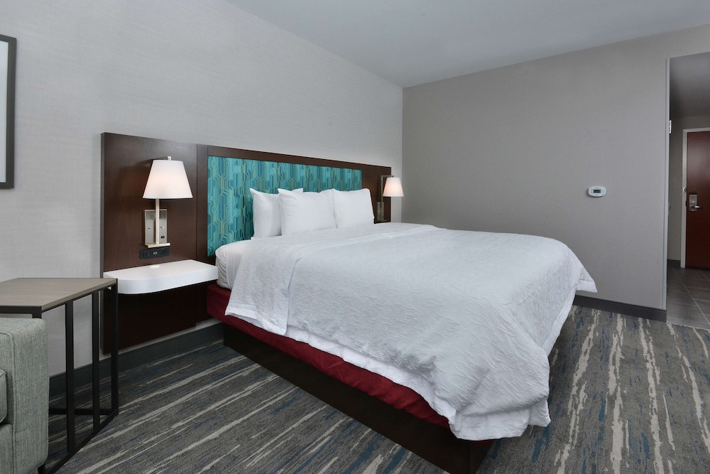 Room, 1 King Bed, Accessible (Roll-In Shower) - Photo 4