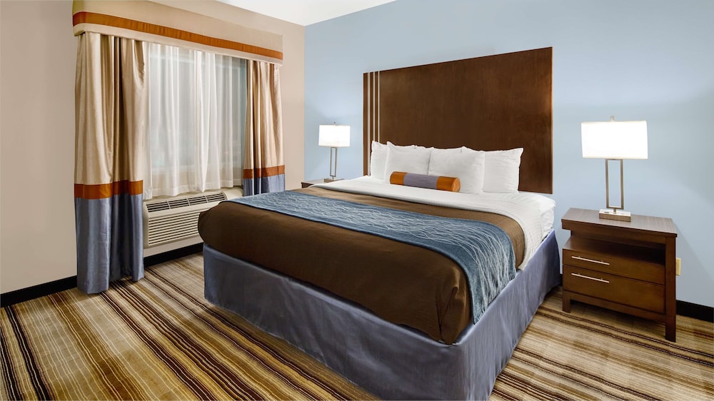 Suite, 1 King Bed, Non Smoking (Separate Living Room;with Sofabed)