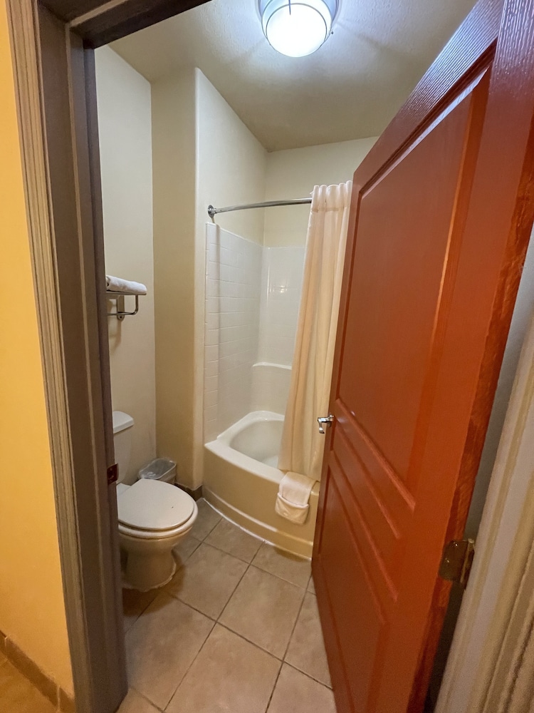 Comfort Studio Suite, 1 King Bed photo 3