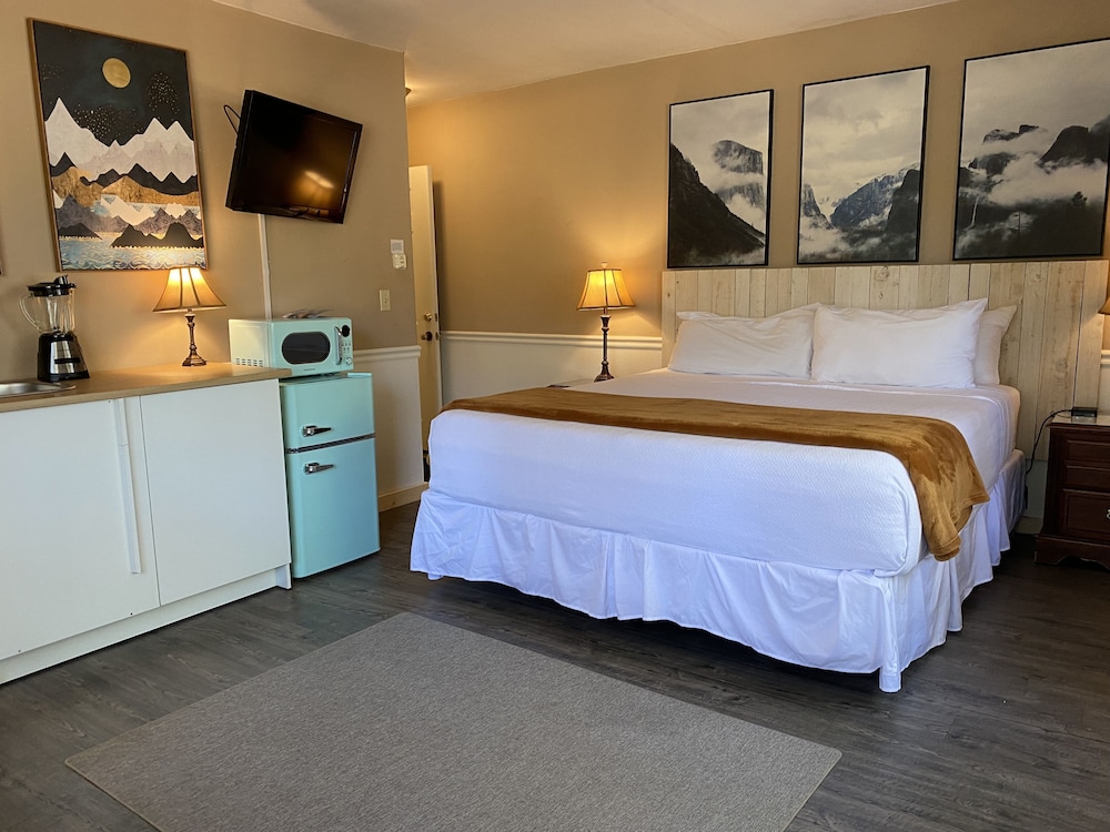 Junior Studio Suite, 1 King Bed photo 1