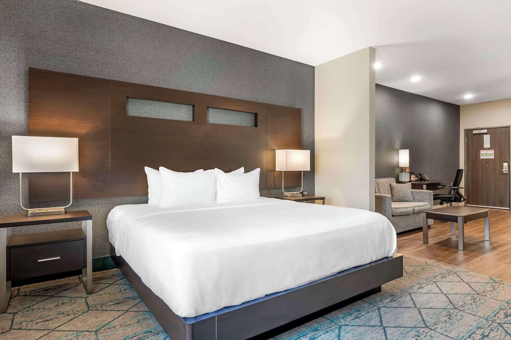 Standard Suite, 1 King Bed, Non Smoking (Kitchenette) - Photo 1