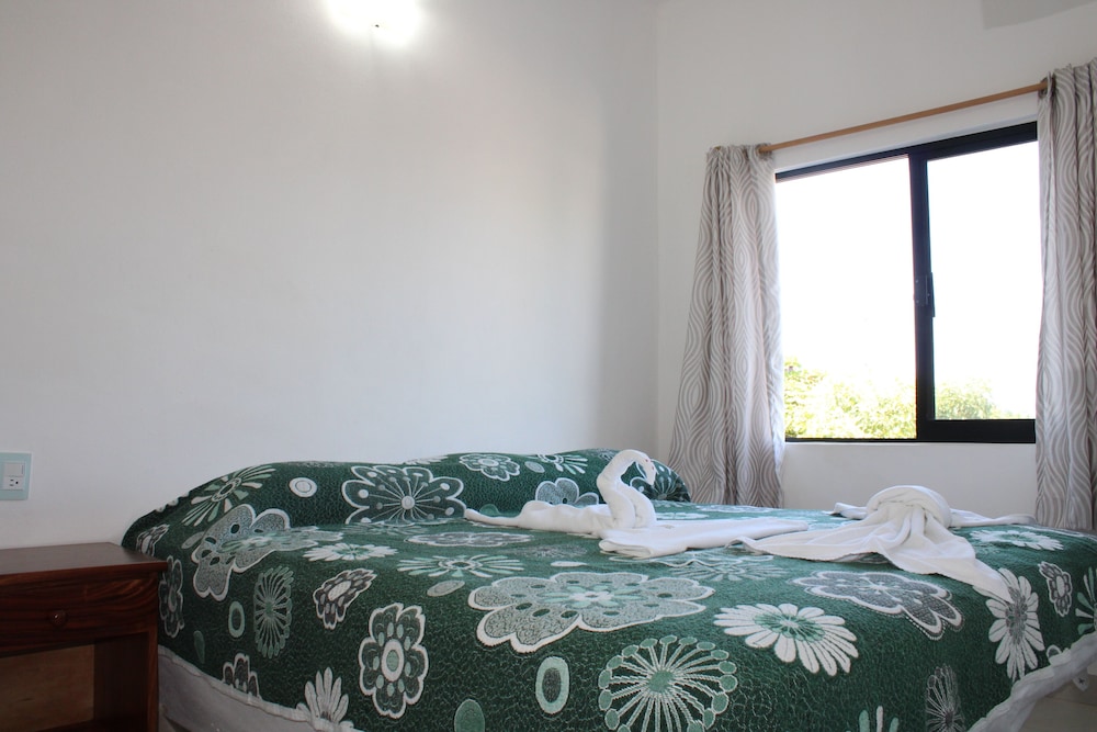 Superior Studio Suite photo 1