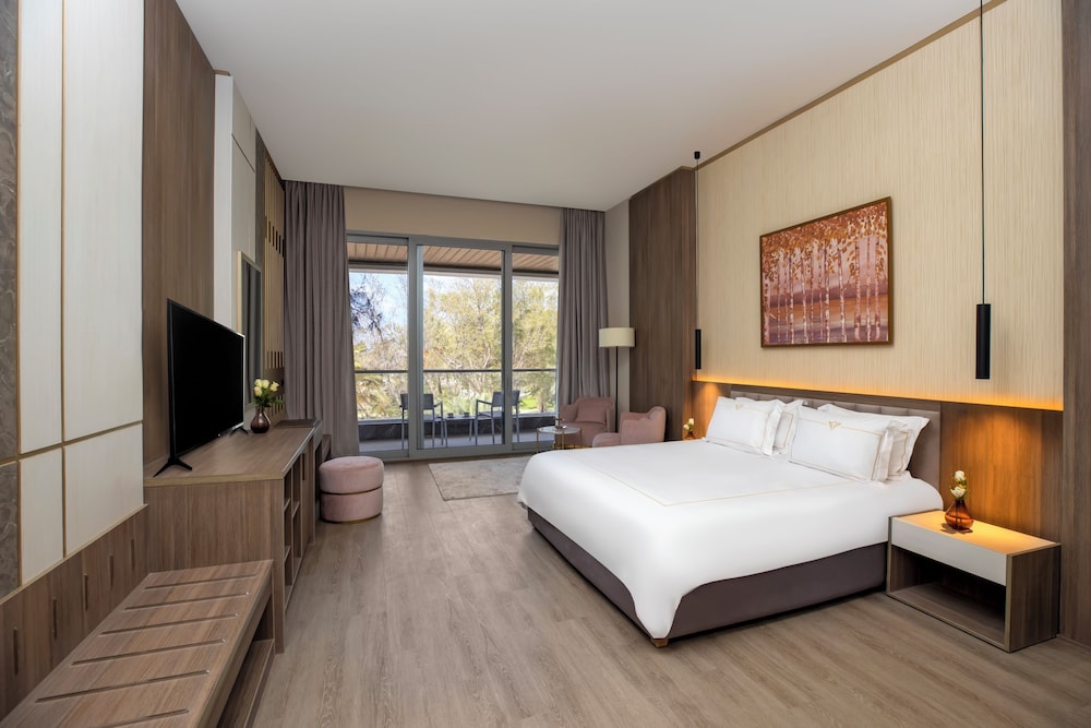 Deluxe Room, Park View (Nariman)