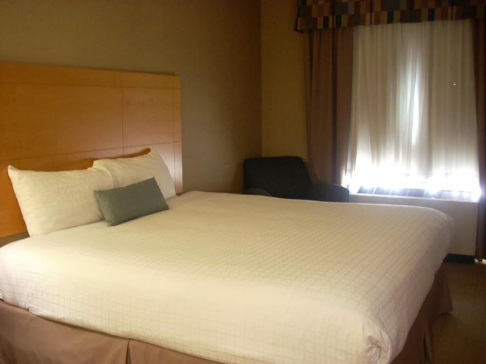 Studio Suite, 1 King Bed - Photo 5