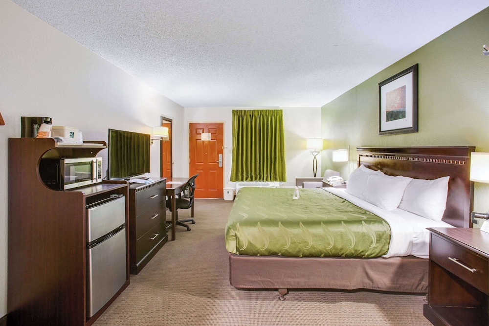 Suite, 1 King Bed, Smoking (Efficiency)