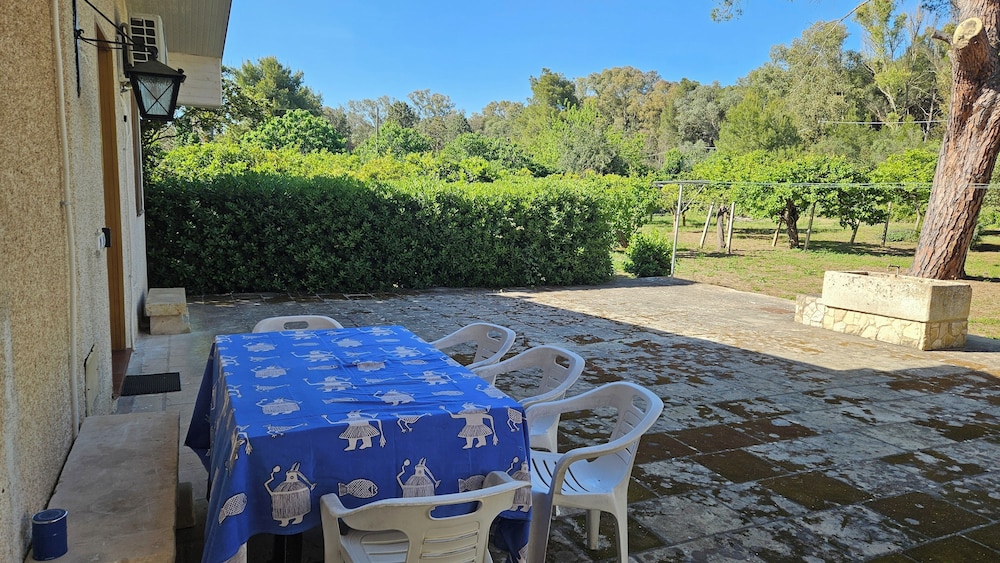 Apartment, Garden View