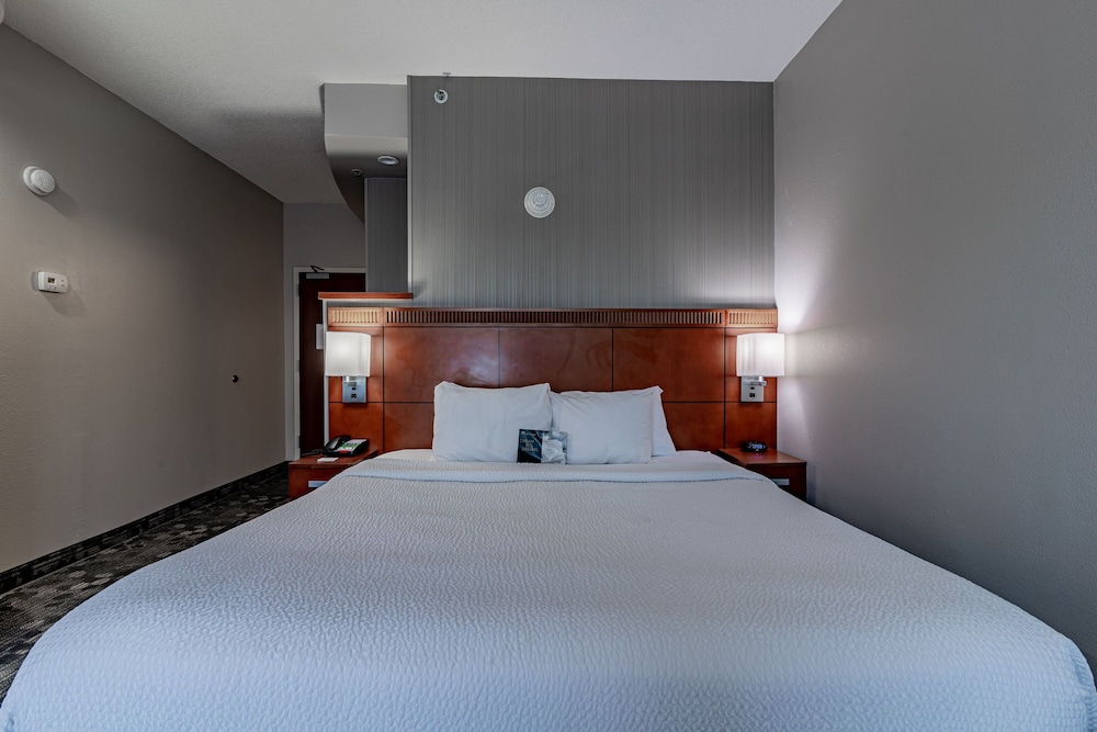 Room, 1 King Bed with Sofa bed (Mobility/Hearing Access, Transf Shwr)