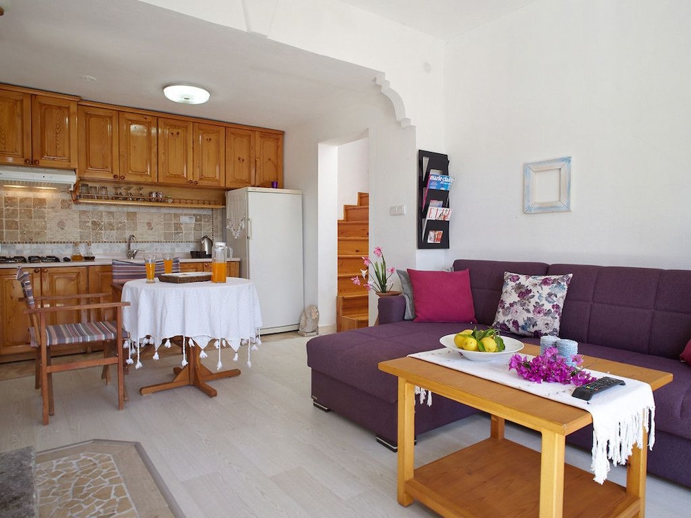 Villa, 2 Bedrooms, Fireplace photo 3