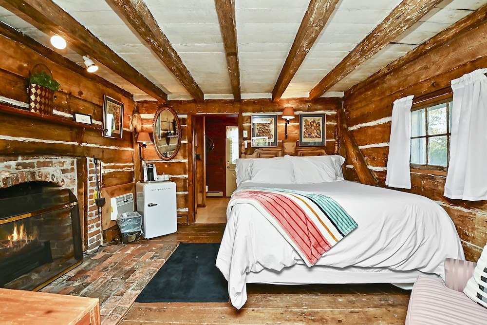1699 Boy's Log Cabin