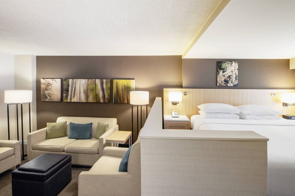 Room, 1 King Bed with Sofa bed