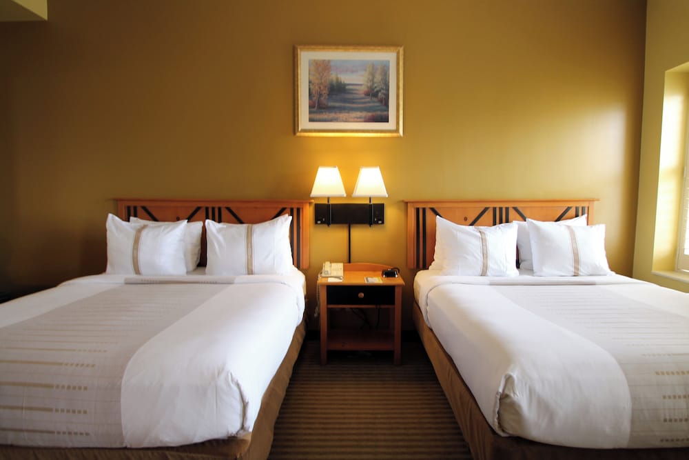 Signature Studio Suite, Multiple Beds photo 1