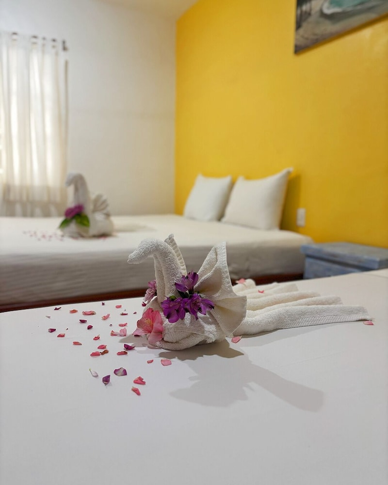 Comfort Double or Twin Room