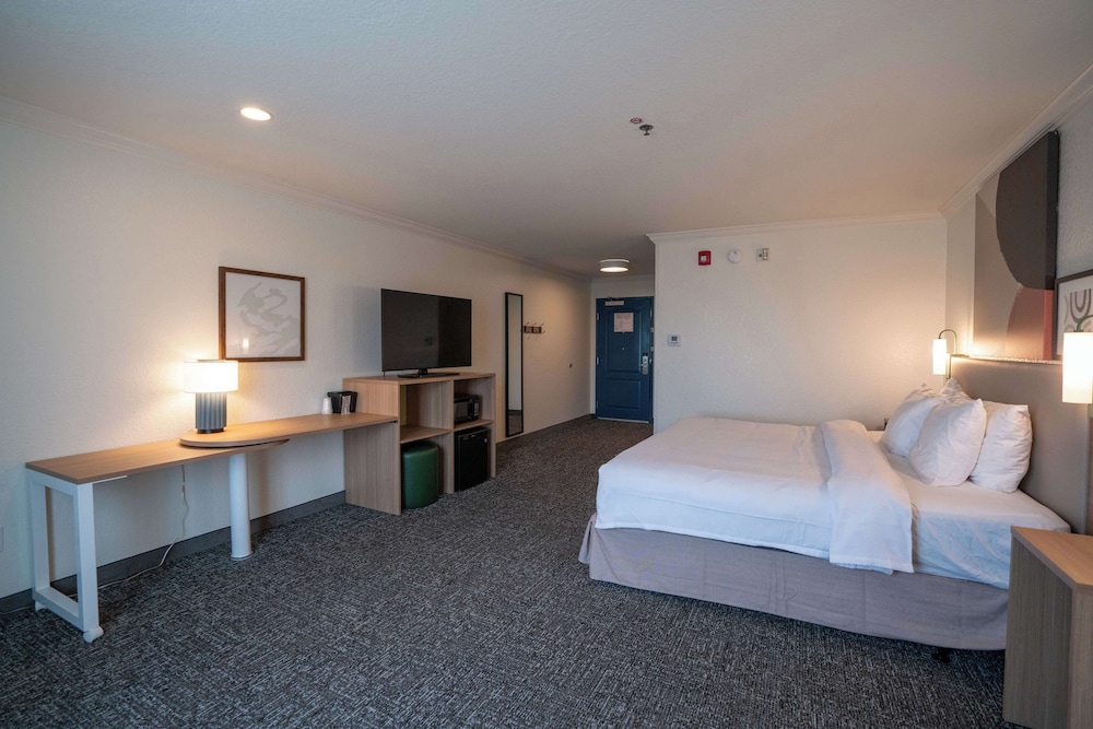 Room, 1 King Bed with Sofa bed, Accessible (Mobility & Hearing, Roll-in Shower) - Photo 1