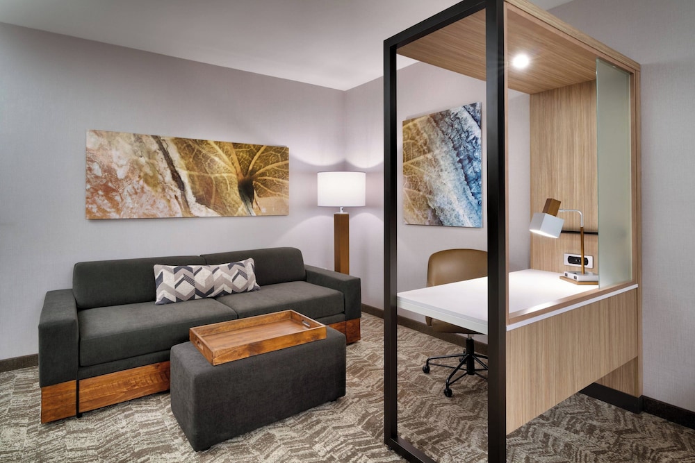 Suite, 1 King Bed - Photo 1