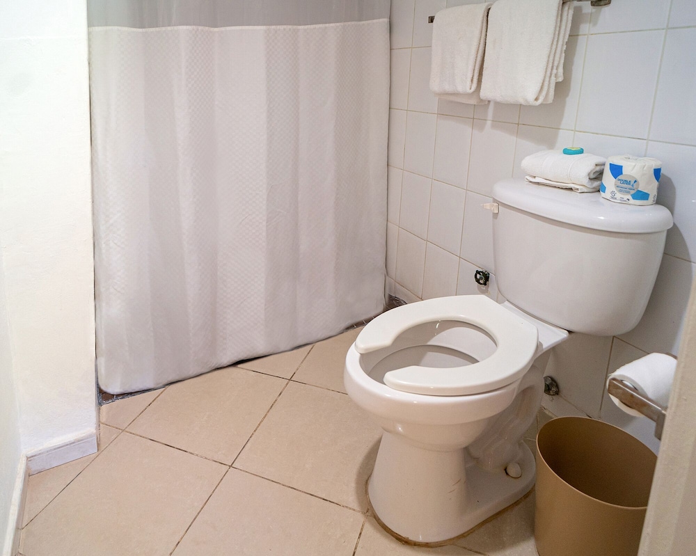 Single Room, Accessible photo 3