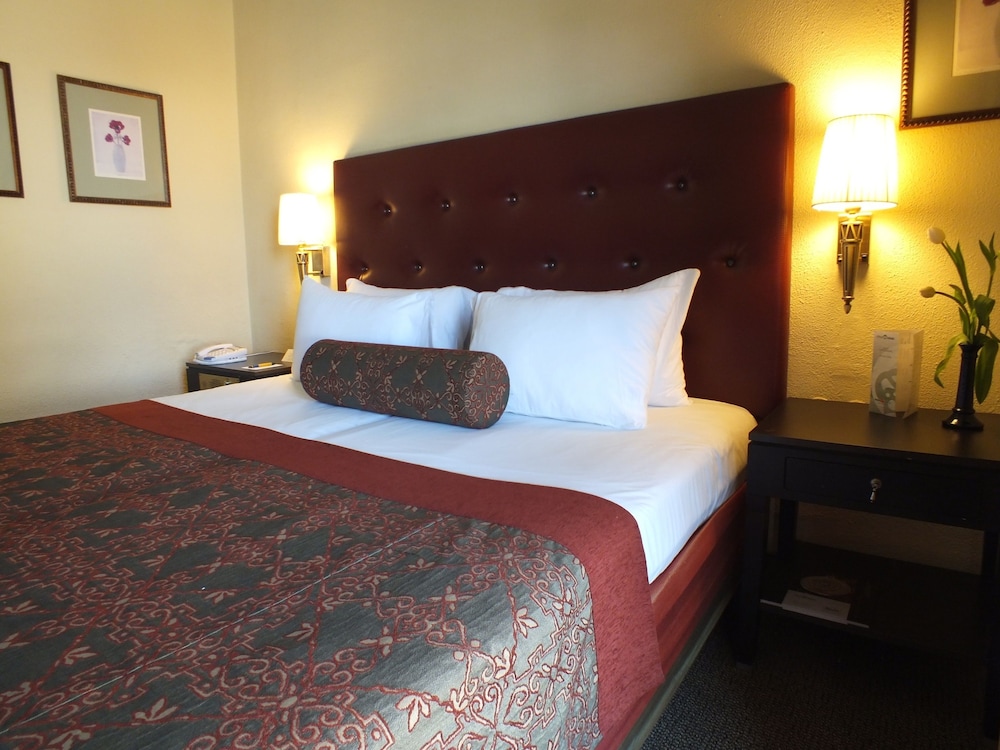 Classic Room - Photo 1