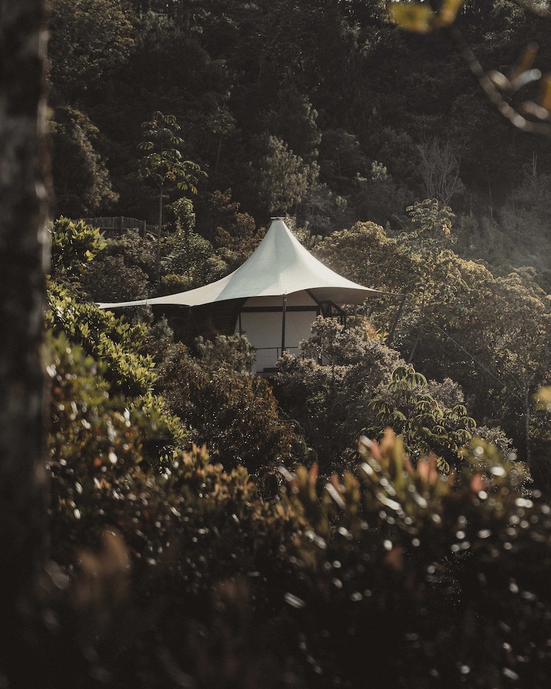 Presidential Tent photo 2