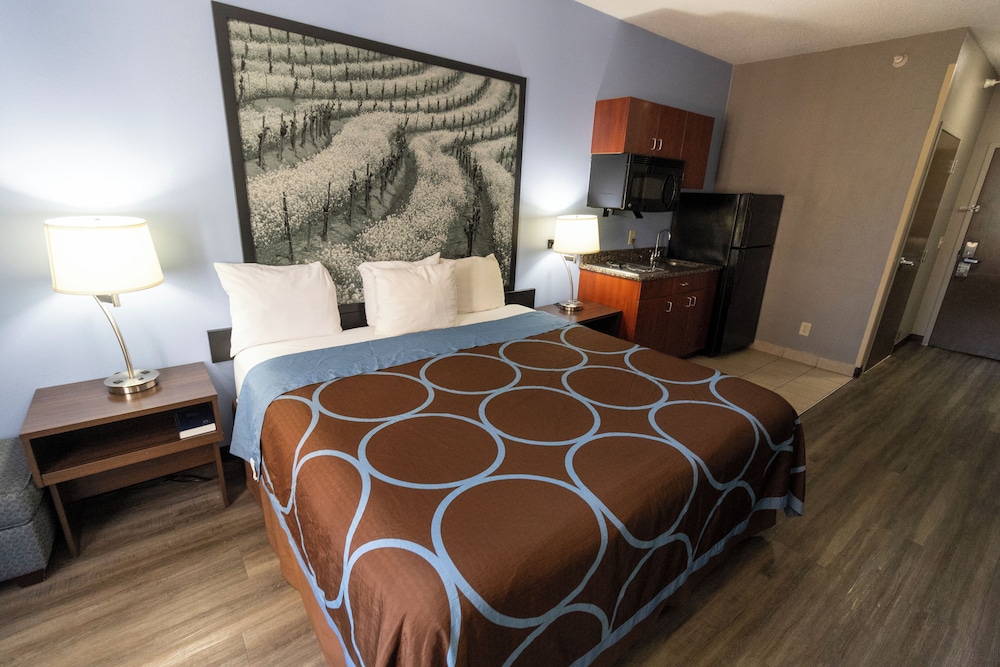 Room, 1 King Bed, Non Smoking (Efficiency) - Photo 7