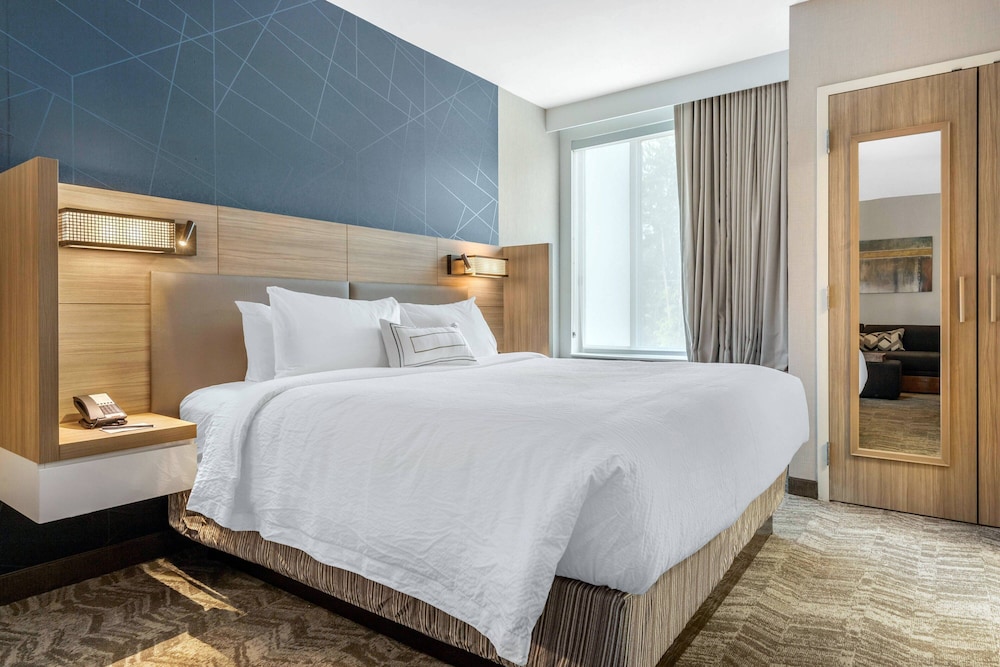 Suite, 1 King Bed (Hearing Accessible) photo 2