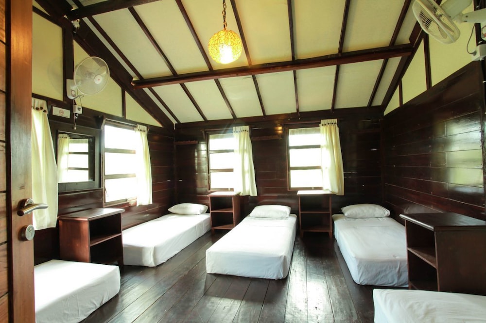 One Single Bed In Comfort Shared Dormitory photo 1