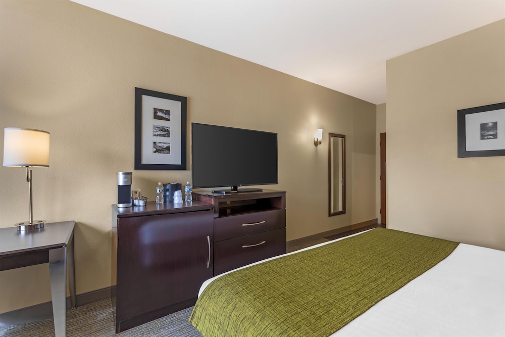 Standard Room, 1 King Bed, Non Smoking, Refrigerator photo 3