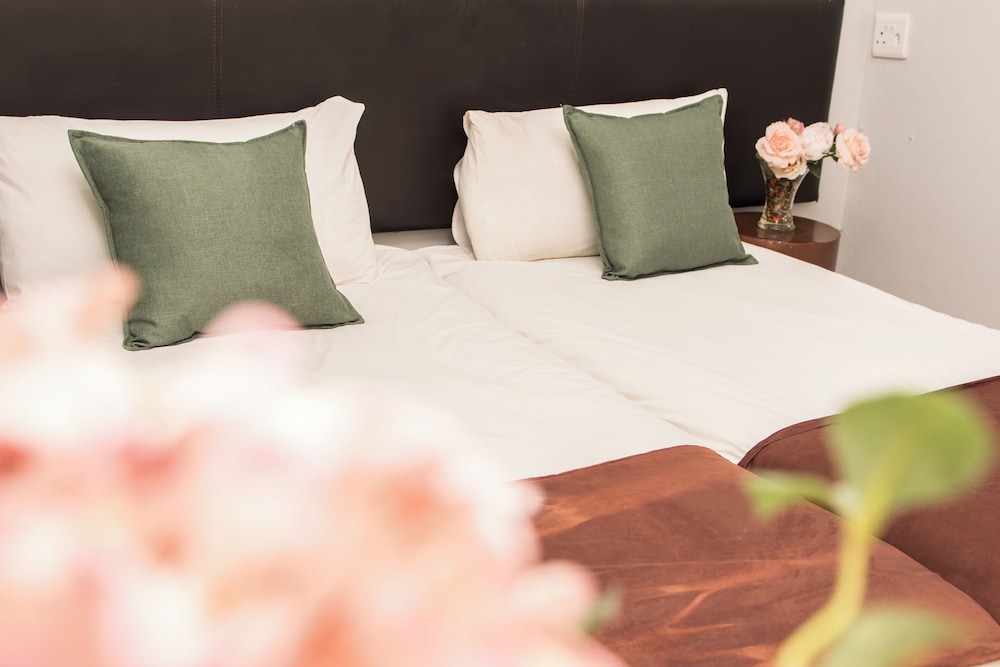 Basic Single Room, 1 Queen Bed photo 3