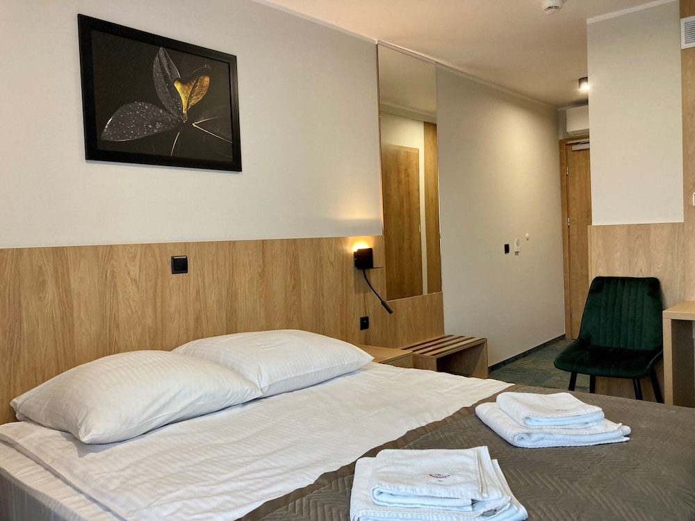 Business Double Room, 1 Double Bed photo 3