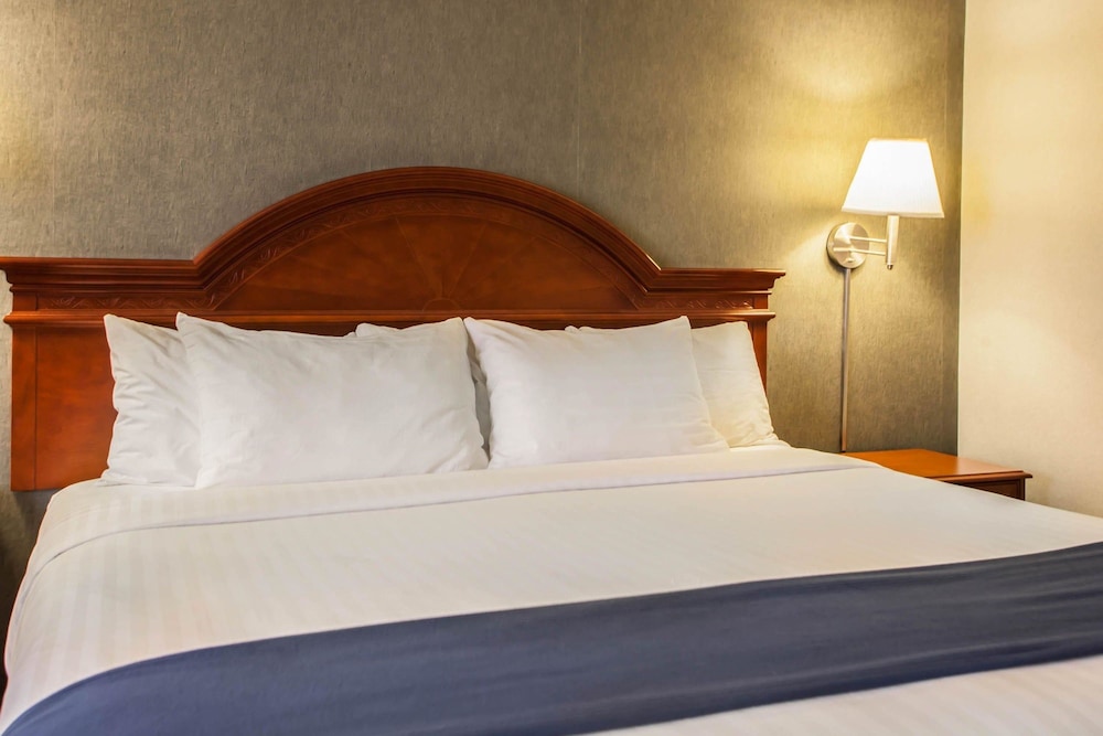 Suite, 1 King Bed with Sofa bed, Accessible, Non Smoking - Photo 1