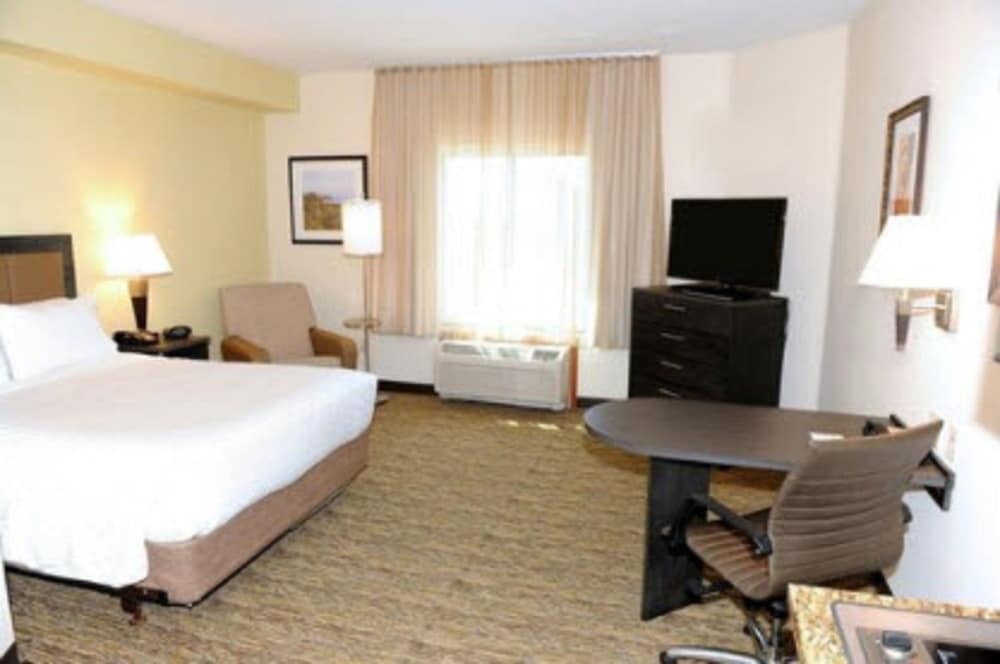 Suite, 1 Bedroom (1 Queen Bed) - Photo 6