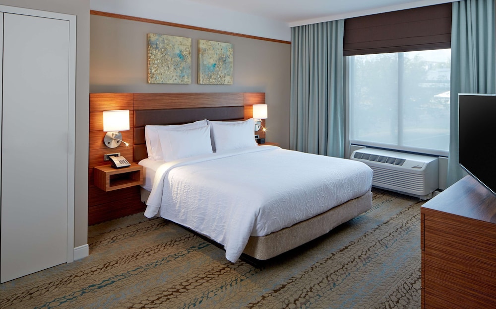 Suite, 1 King Bed, Accessible, Non Smoking (Hearing) photo 1