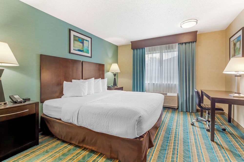 Suite, Multiple Beds, Non Smoking, Refrigerator & Microwave (with Sofabed) - Photo 2