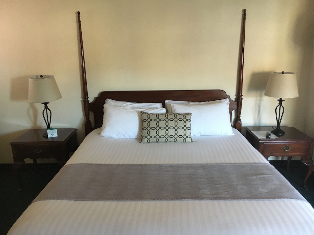 Standard Room, 1 King Bed, Balcony, Ocean View (8JM) photo 1