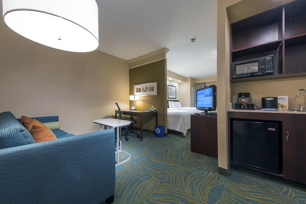 Suite, 1 Bedroom - Photo 4