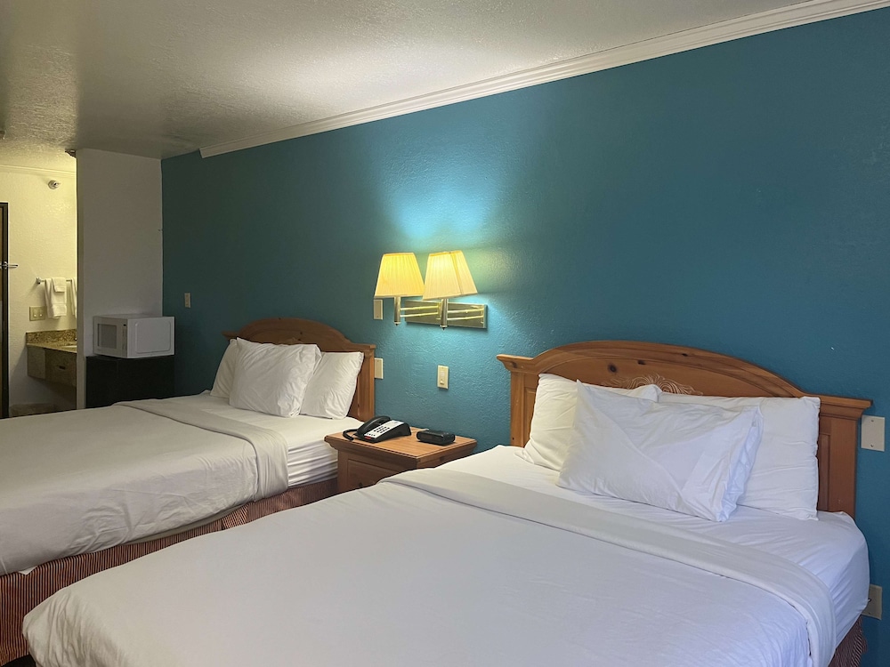Standard Suite, Multiple Beds, Non Smoking, Refrigerator & Microwave - Photo 8