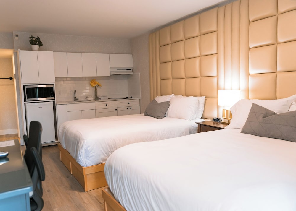 Two Double Beds + Kitchen photo 1