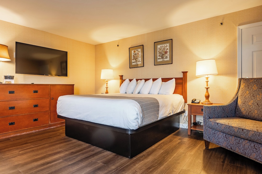 Premier Studio Suite