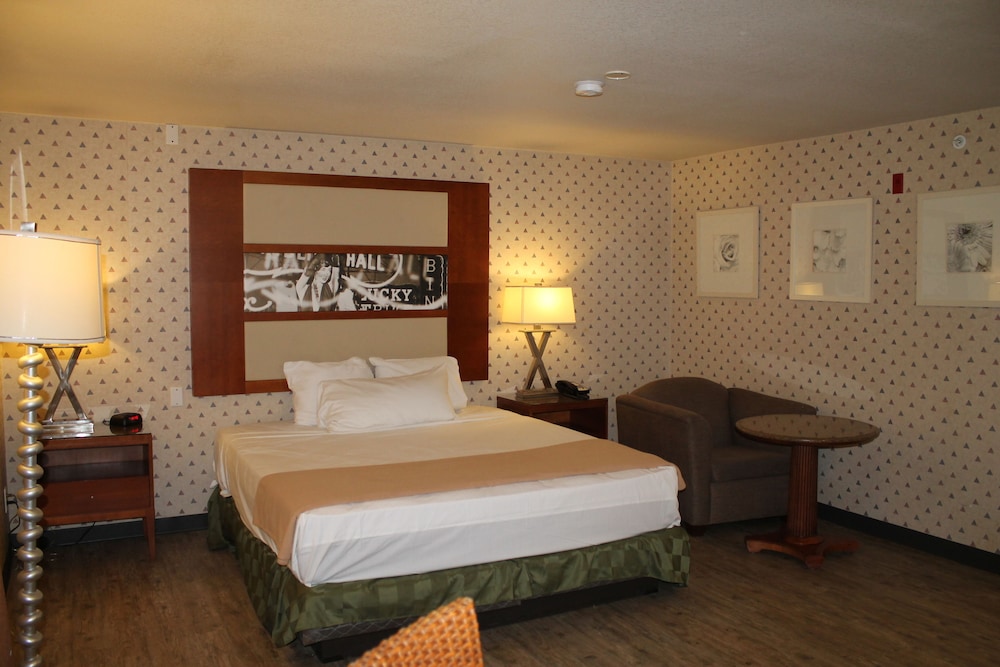 Deluxe Suite (1 King Bed Non Smoking) photo 3