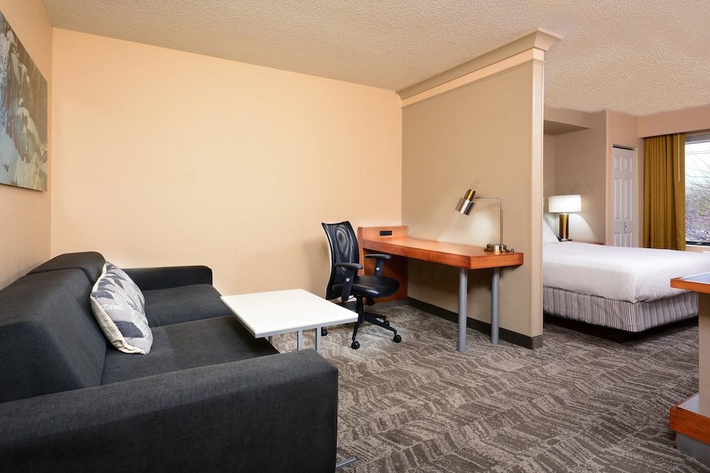 Studio, 1 King Bed with Sofa bed (Hearing Accessible)