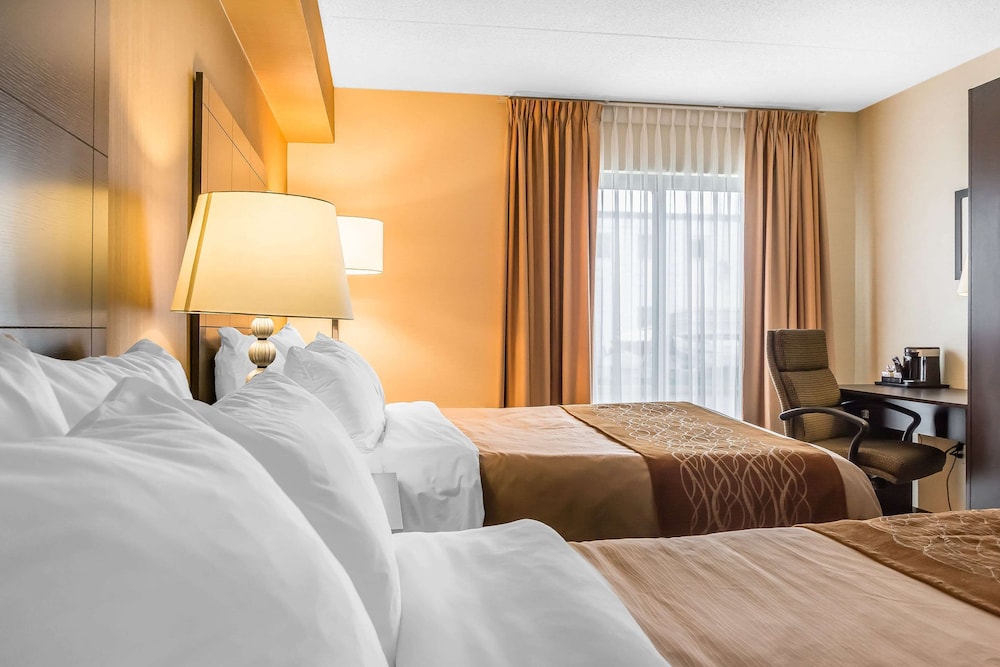 Room, 2 Queen Beds, Non Smoking (Dog Friendly) Ground Level - Photo 2