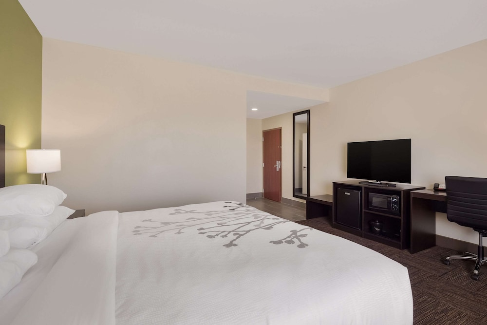 Room, 1 King Bed, Non Smoking - Photo 3