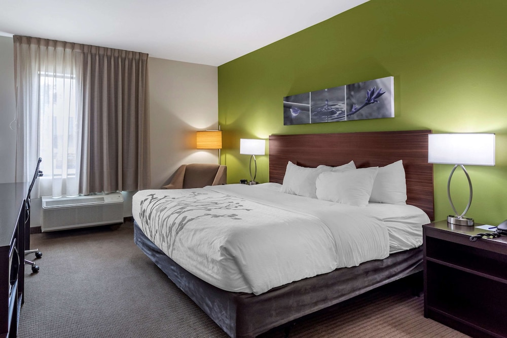 Room, 1 King Bed, Accessible, Non Smoking - Photo 1