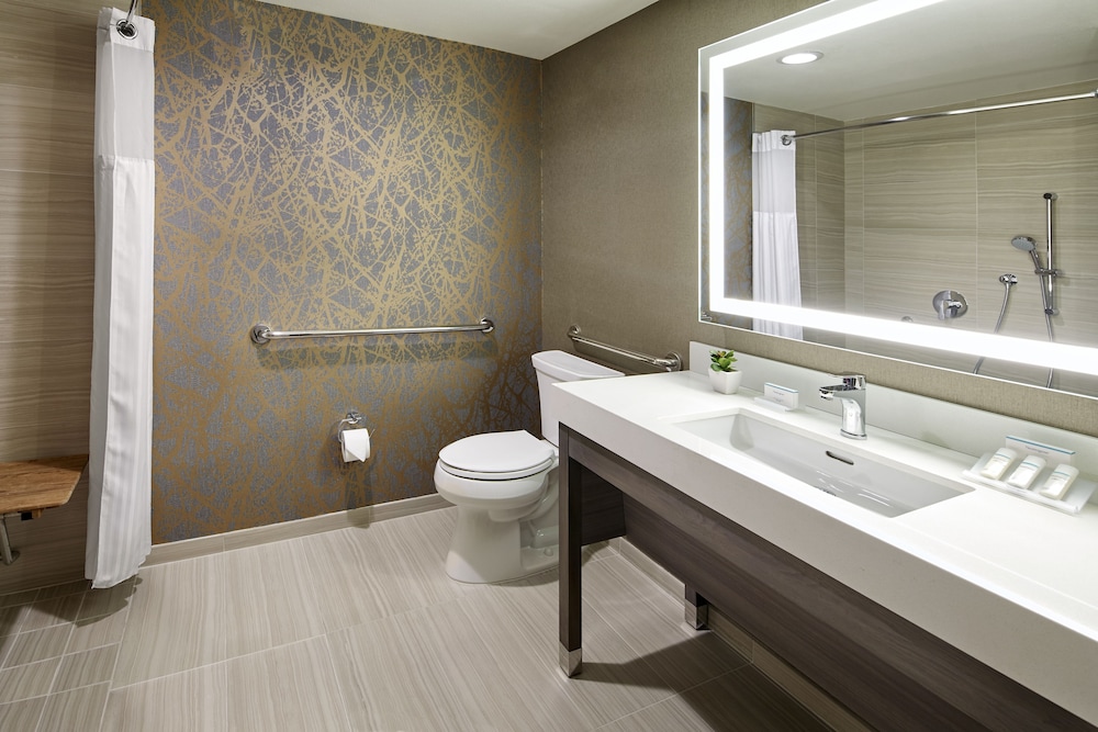 Room, 1 King Bed, Accessible (Roll-In Shower) - Photo 4