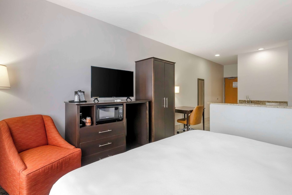 Suite, 1 King Bed with Sofa bed, Non Smoking photo 3