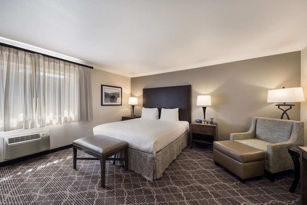 Suite, 1 King Bed, Non Smoking, Refrigerator & Microwave (with Single Sofabed;Larger Room) - Photo 2