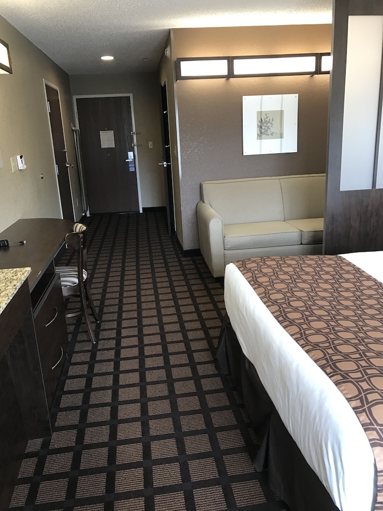 Studio Suite, 1 Queen Bed, Accessible, Non Smoking - Photo 5