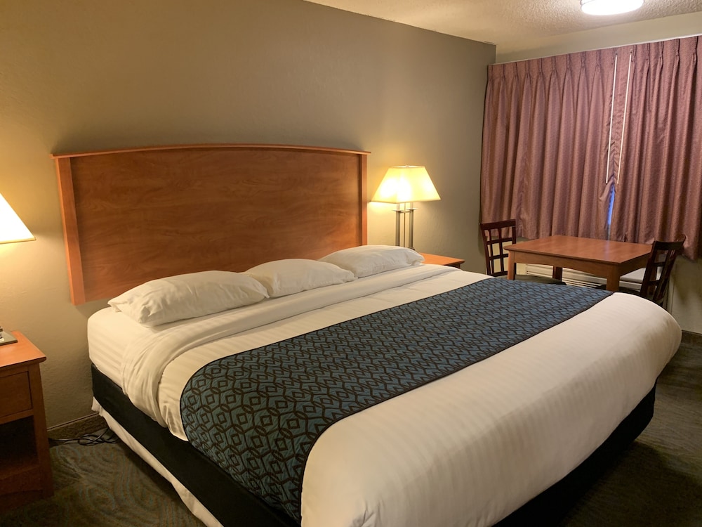 Single Room photo 1