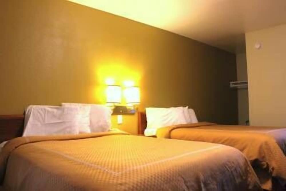 Standard Room, 2 Double Beds photo 1