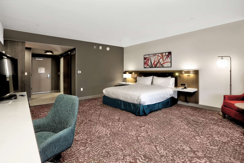 Room, 1 King Bed, Accessible (Roll-In Shower, Mobility & Hearing)