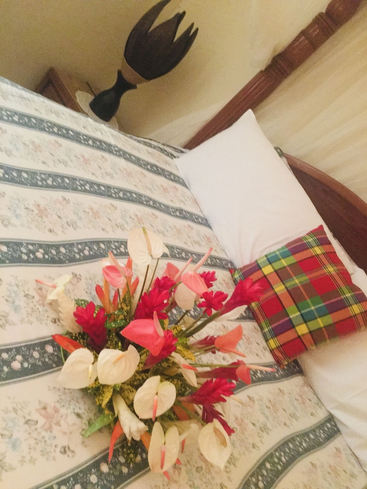 Bed & Sleeping Area