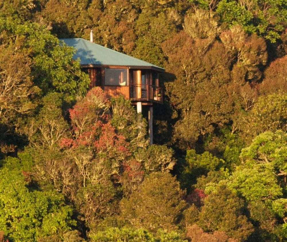 2 Nights Treehouse photo 2